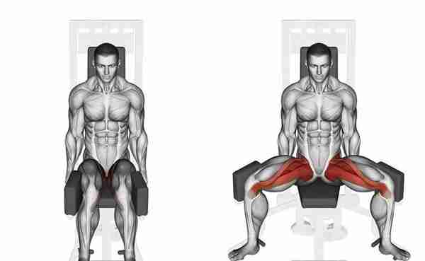 臀部肌肉的训练方法，5个动作每周练2次，拥有迷人翘臀身材